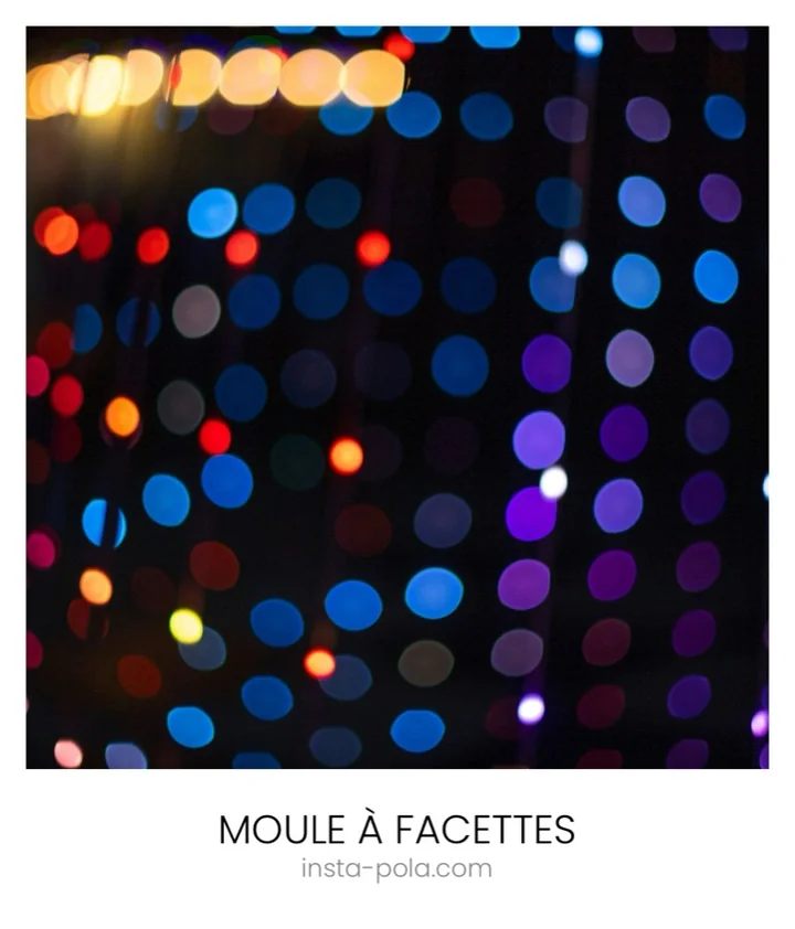 Polaroid légendé « Moule à facettes »